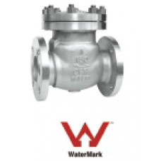 Swing Check Valve ANSI TD TE